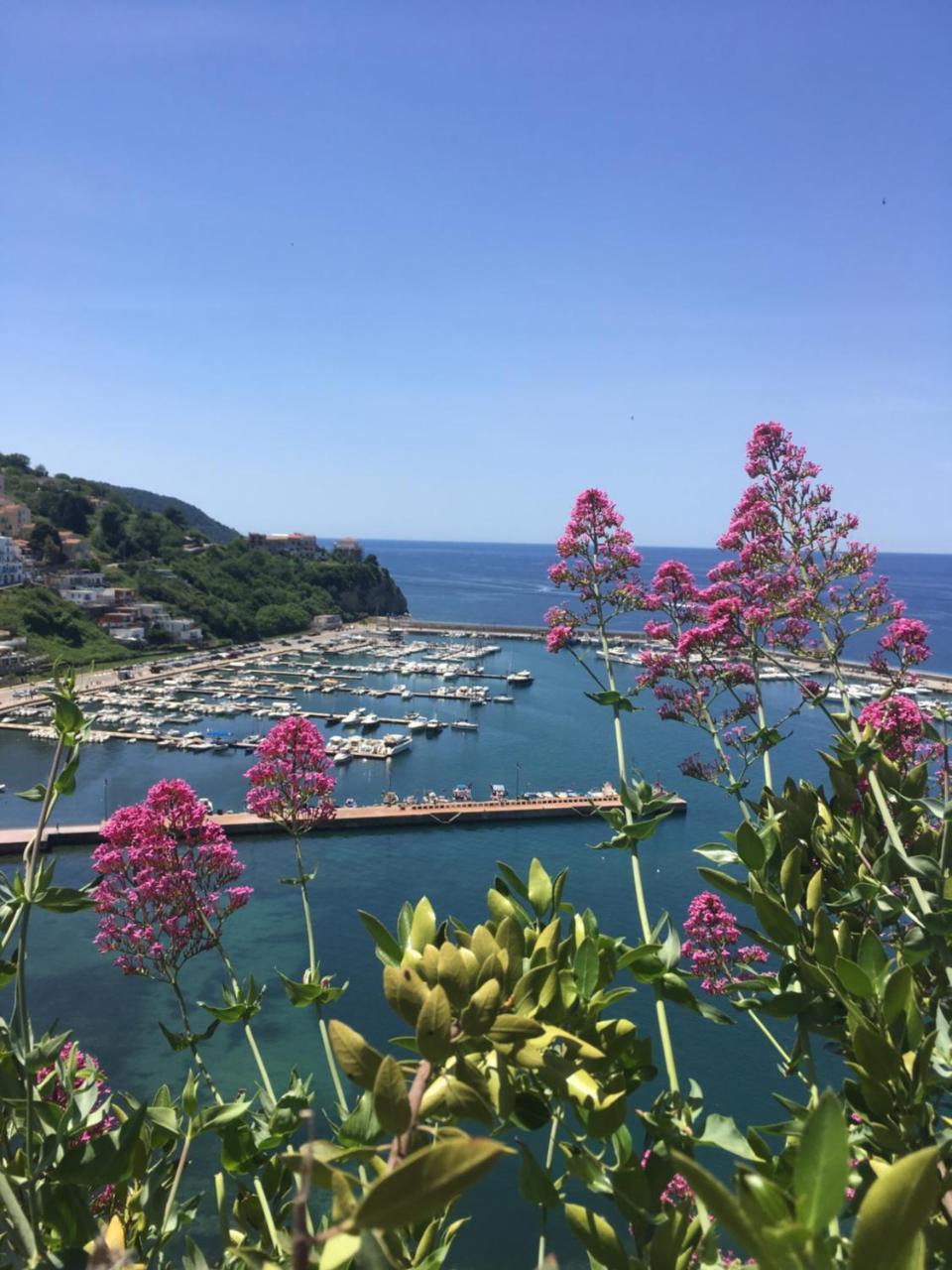Cor A Cor Suite Agropoli Exteriör bild